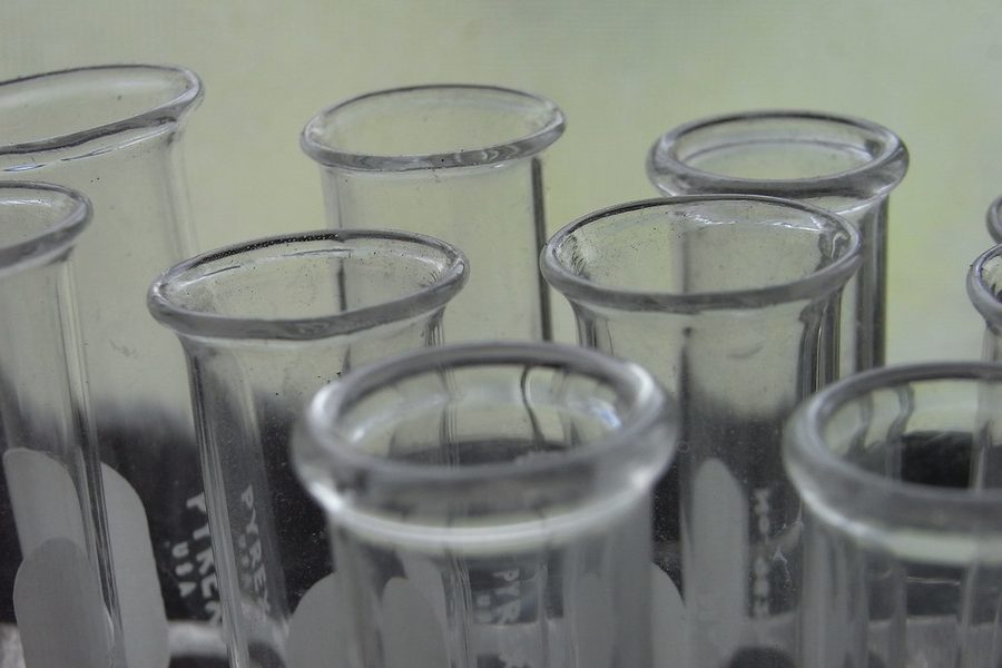 Test tubes in a laboratory rack